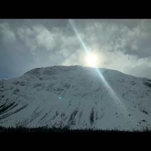 Meet your Posher, Sienna